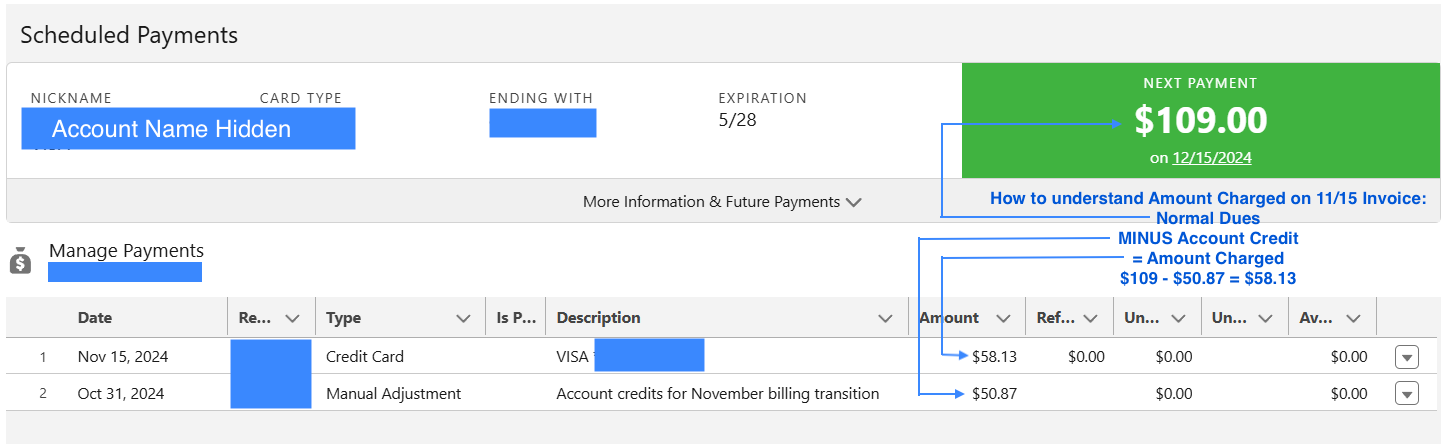 Screen shot of billing page