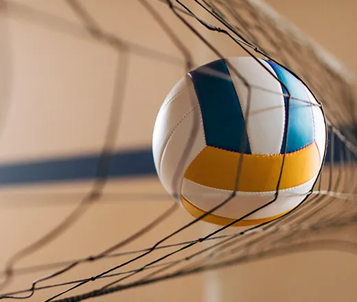 volleyball in net